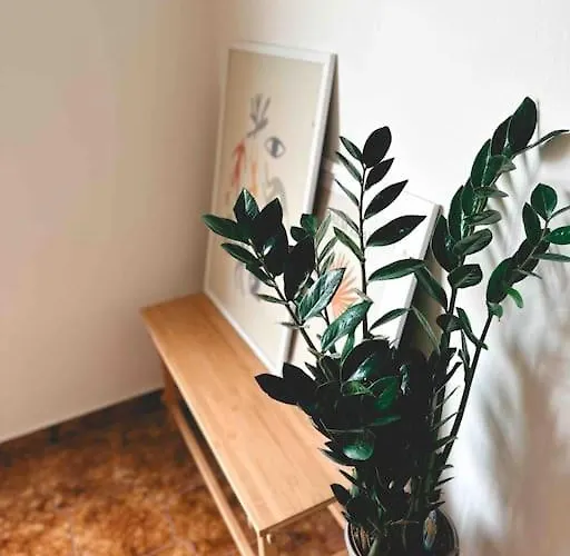 Linear Flat - Center - Private Parking