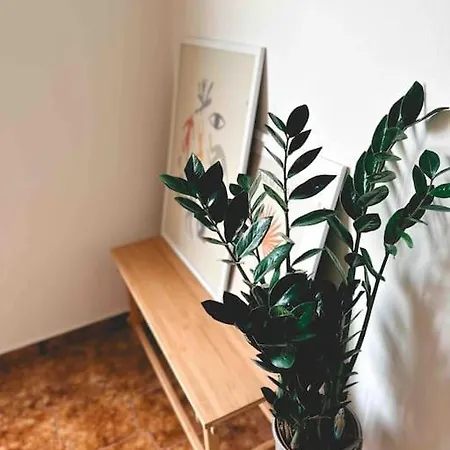 Linear Flat - Center - Private Parking